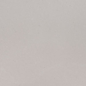 FOSSIL GRAY - MATTE FINISH