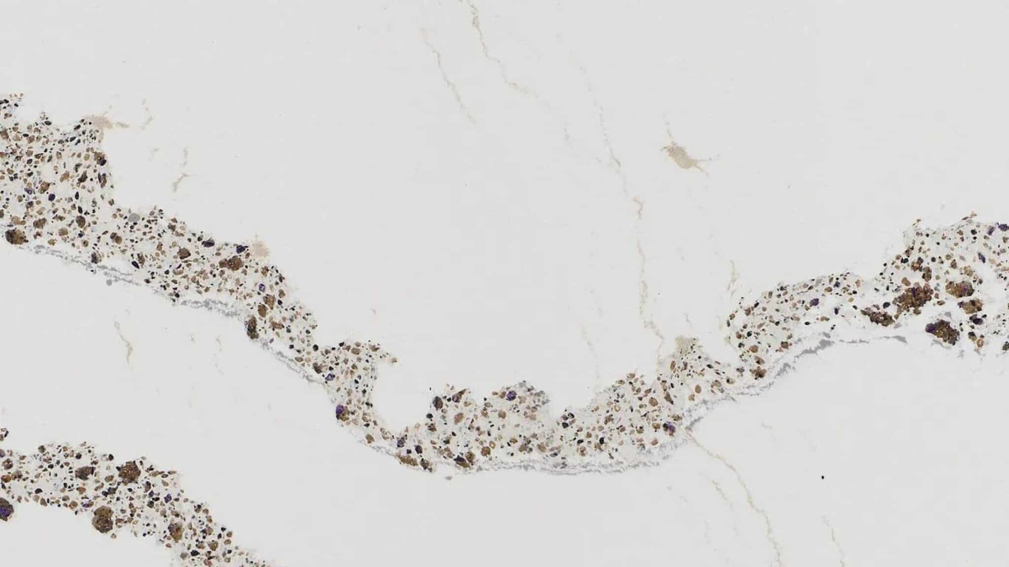 Cambria quartz countertops in Franklin, MA Cambria quartz countertops in Franklin, MA