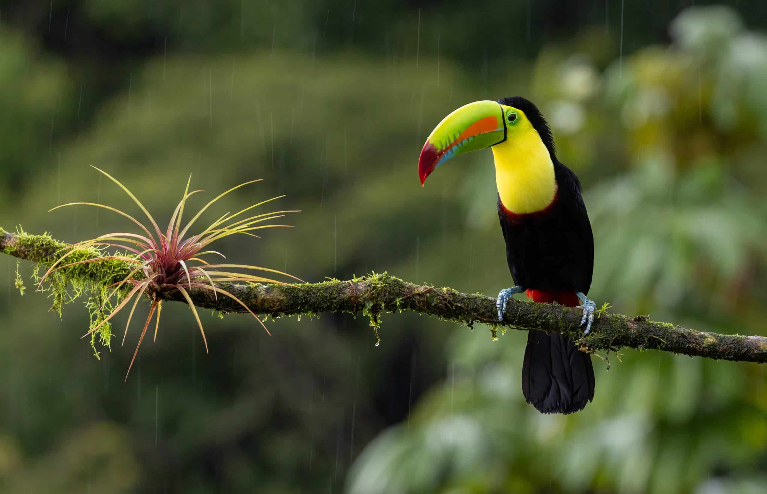 Costa Rica